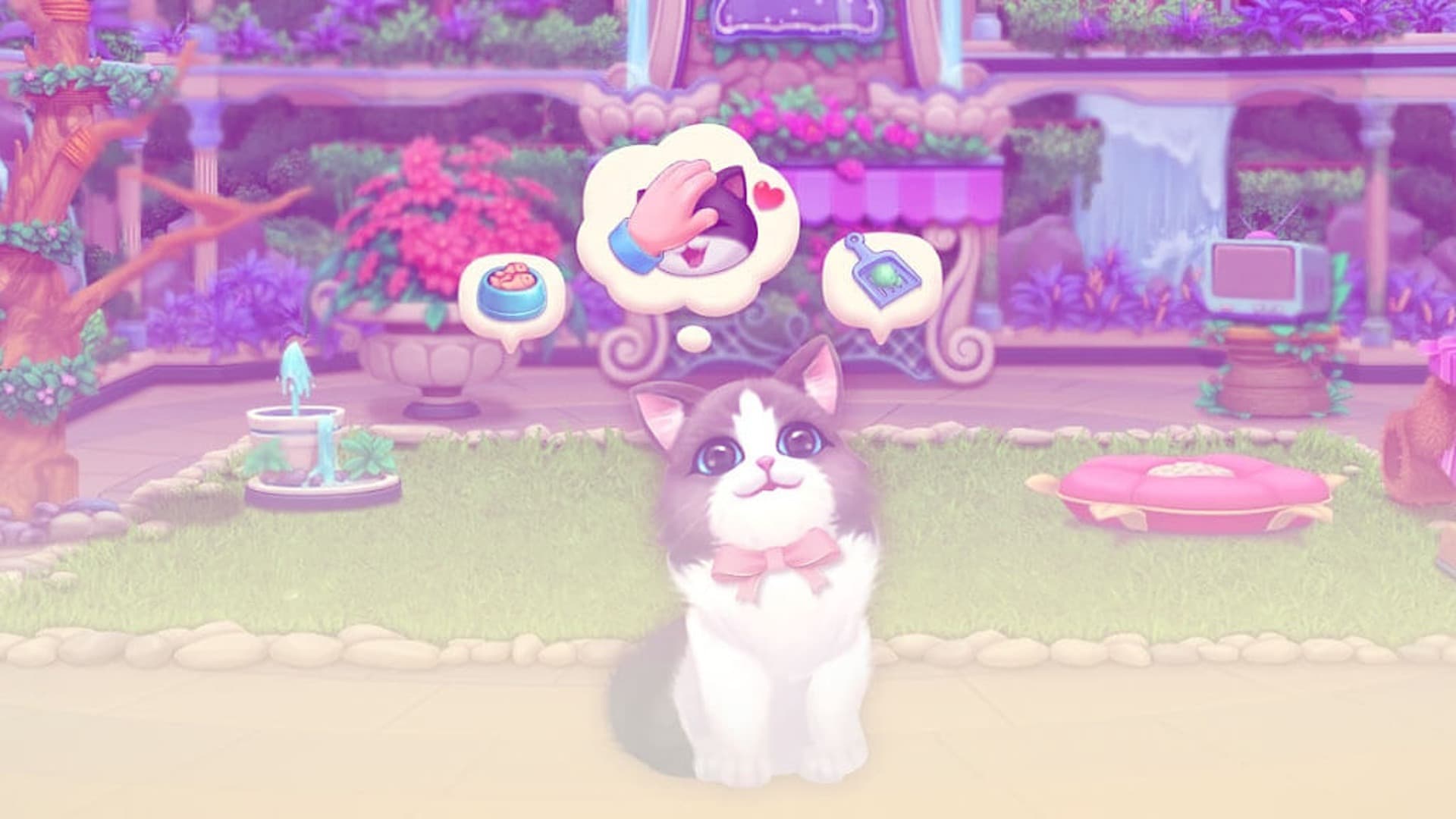 Kitten Match
