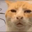 Browhat emote (inline chat version)