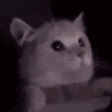 Flashbang emote (inline chat version)