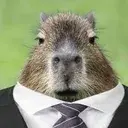Lawyer Capybara emote (inline chat version)