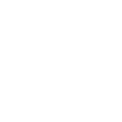 Mint $10 USD logo