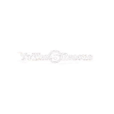 Rescue Team 5 logo