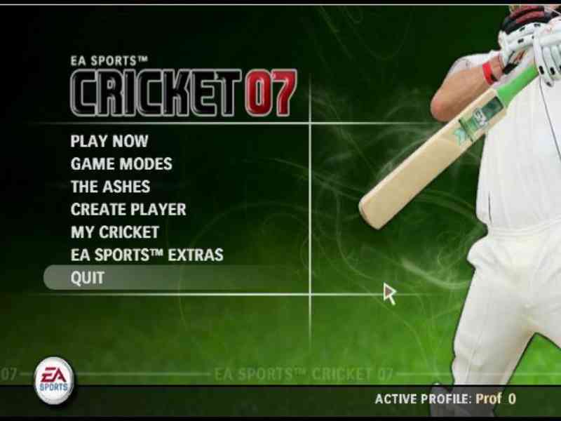 Download cricket 07