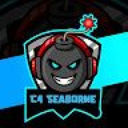 c4_seaborne avatar