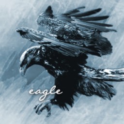 EagleV8 avatar