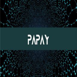 PAPAY_UA avatar