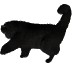 Lifesword_cat avatar