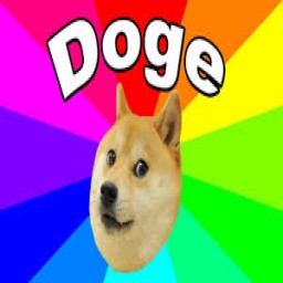 doge629 avatar