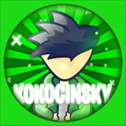 k0kocinskyy avatar