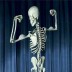 Skeleton2002 avatar