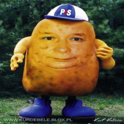 KartofelPL avatar