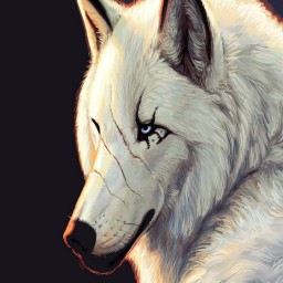 Wolfyboi avatar