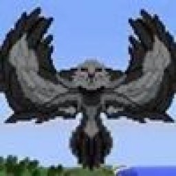 enderfly avatar