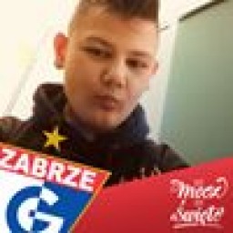 igor_adamek avatar
