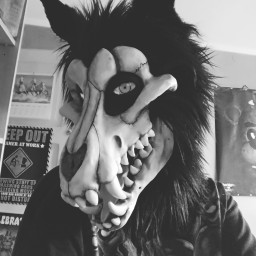 WerewolfPoland avatar