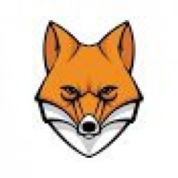 CiccioTheFox_ avatar