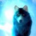 thunderwolf550 avatar