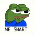 i_am_intellect_smart_smart avatar