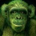 greenish_monkey avatar