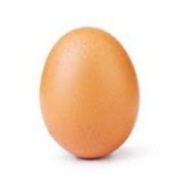 Eggsalad avatar