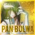 PanBulwa43 avatar