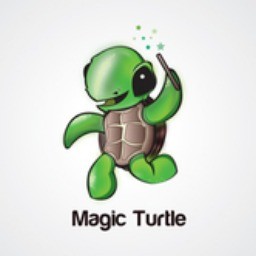 Turtle2k avatar