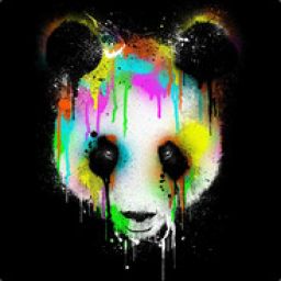 pandikpanda avatar