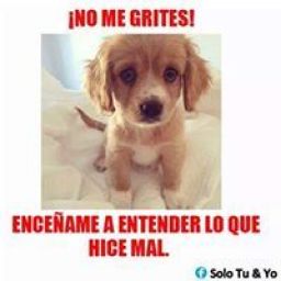 carlos_vasquez3 avatar