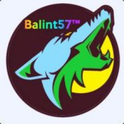 balint571 avatar