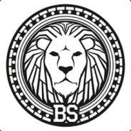 bs1 avatar