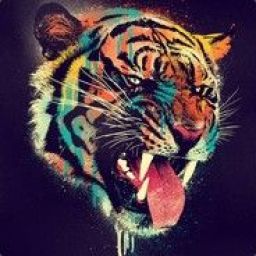 tiger3 avatar