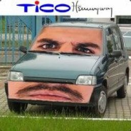 tico_hemingway avatar