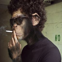 makak avatar