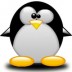 Pingwin1375PL