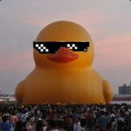duck8 avatar
