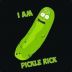 pickle_rick____gamdomcom avatar