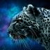 alpha_leopard avatar