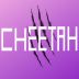CheetahPlayz avatar
