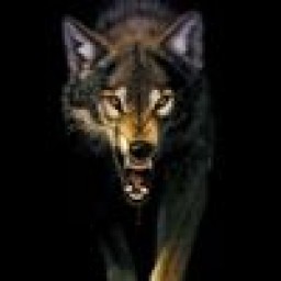 WerWolf avatar