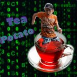 tea_potato avatar