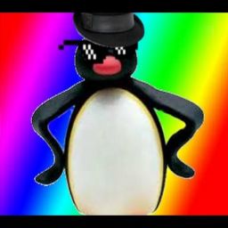Pingwinaq avatar