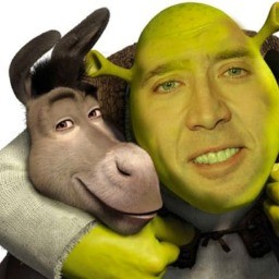 SHREKOOO avatar