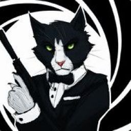 Denis_cat_tim avatar