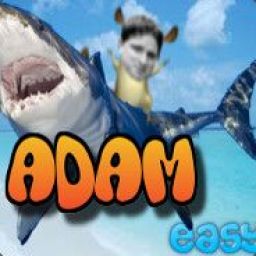 adam_2 avatar