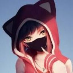 Darkx_cat avatar