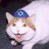 JewishCat avatar