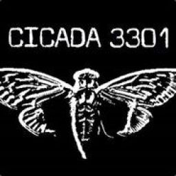 33011 avatar