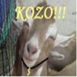 KoZo111 avatar