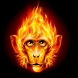 FireMonkey2006 avatar