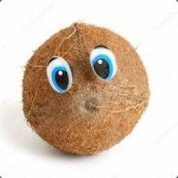 kokosik0v avatar